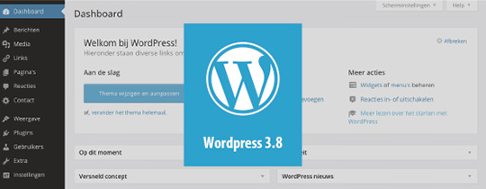 Wordpress update